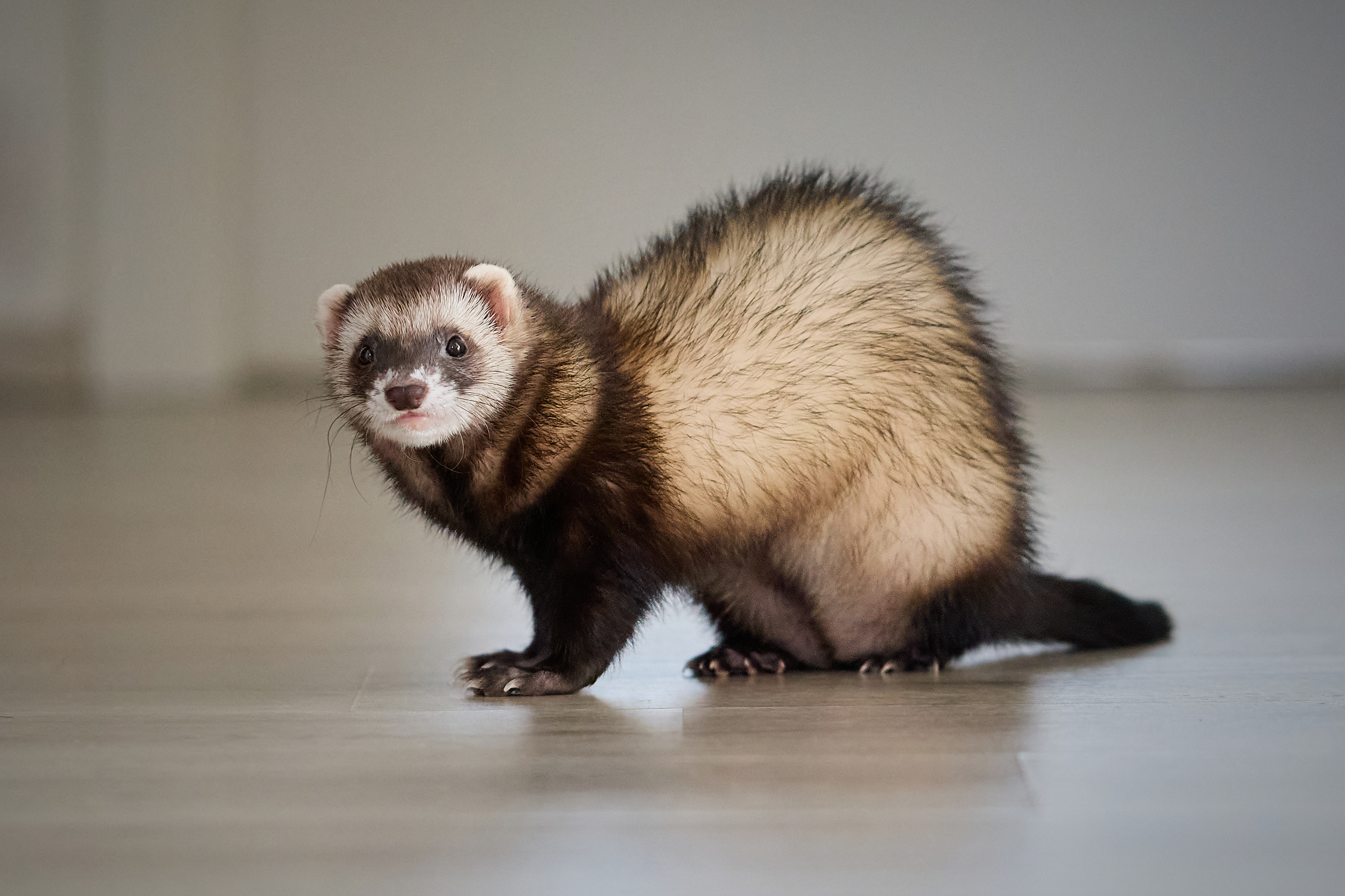 Fotka Babička Zvláštní M Test CHS