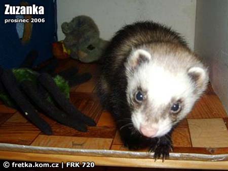 Fotka Zuzanka